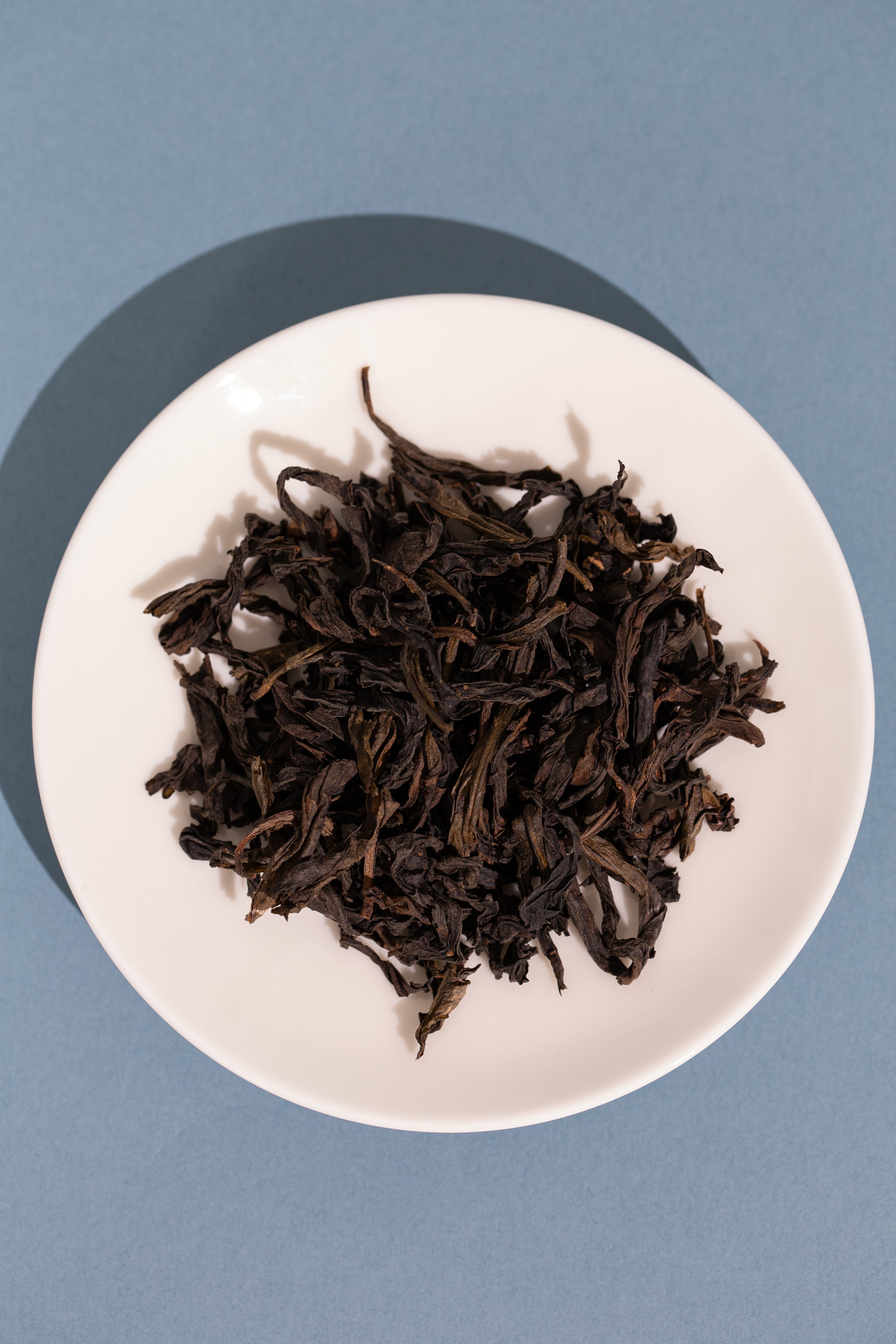 武夷山兰香水仙