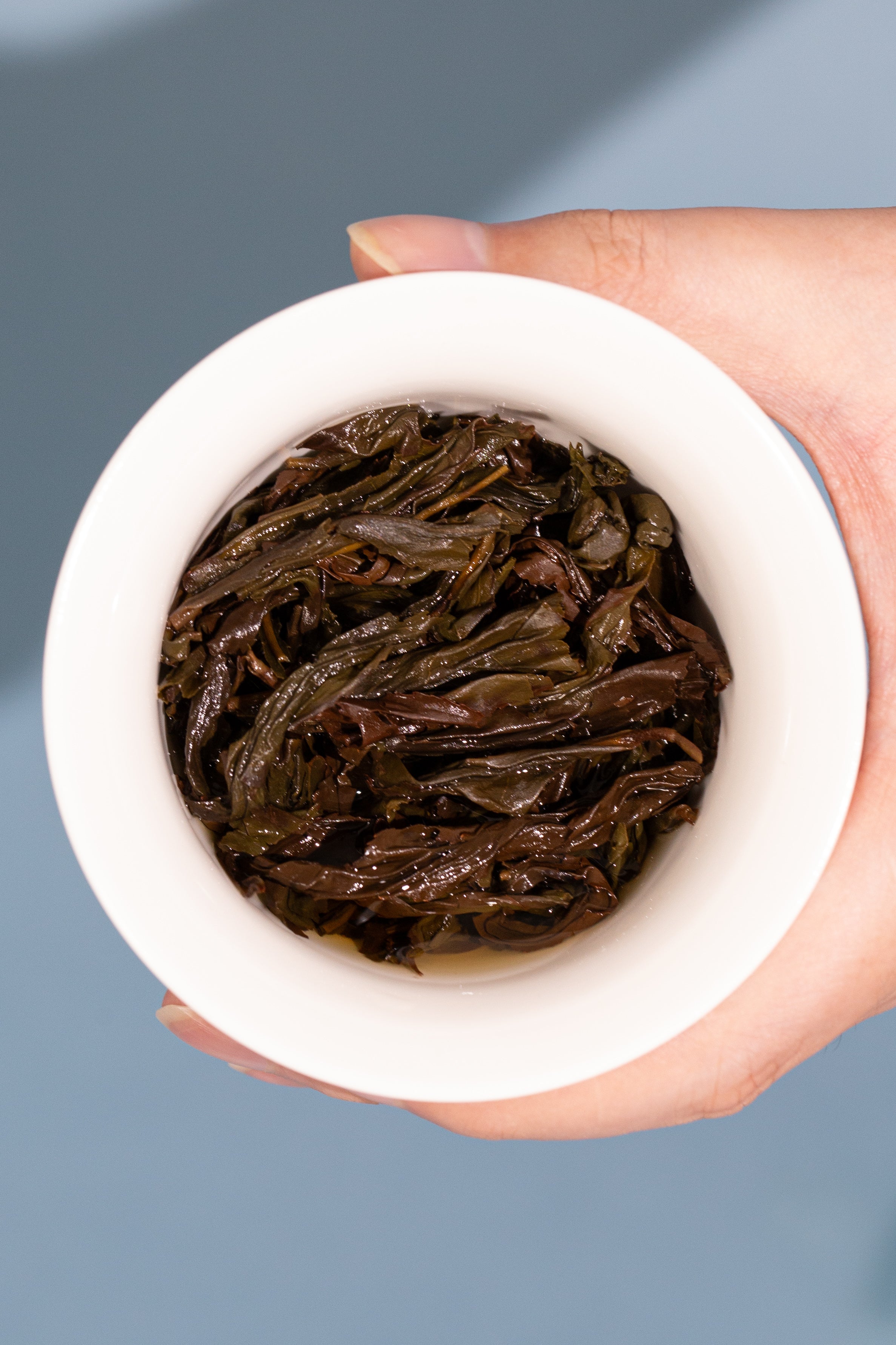 武夷山兰香水仙