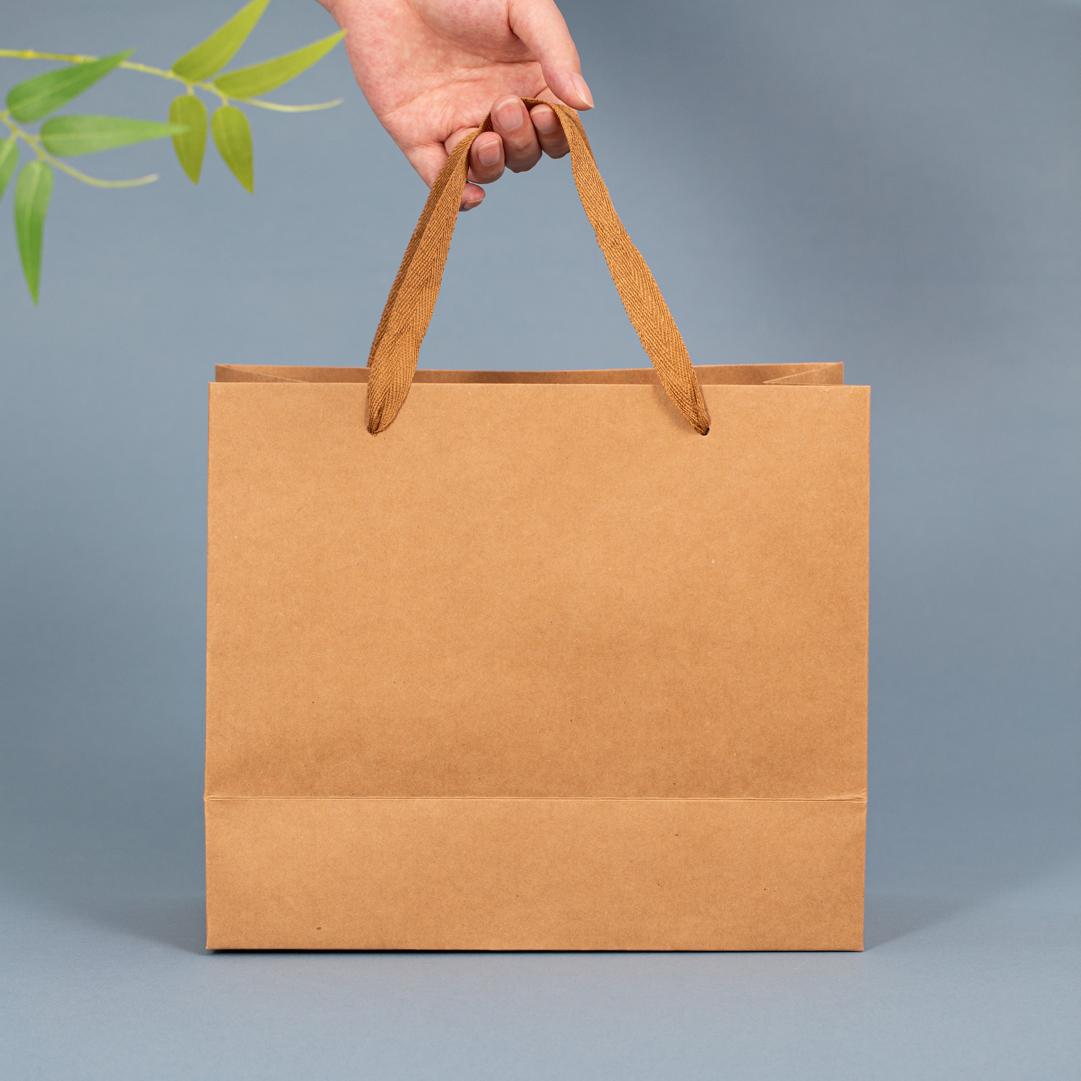 武夷山兰香水仙