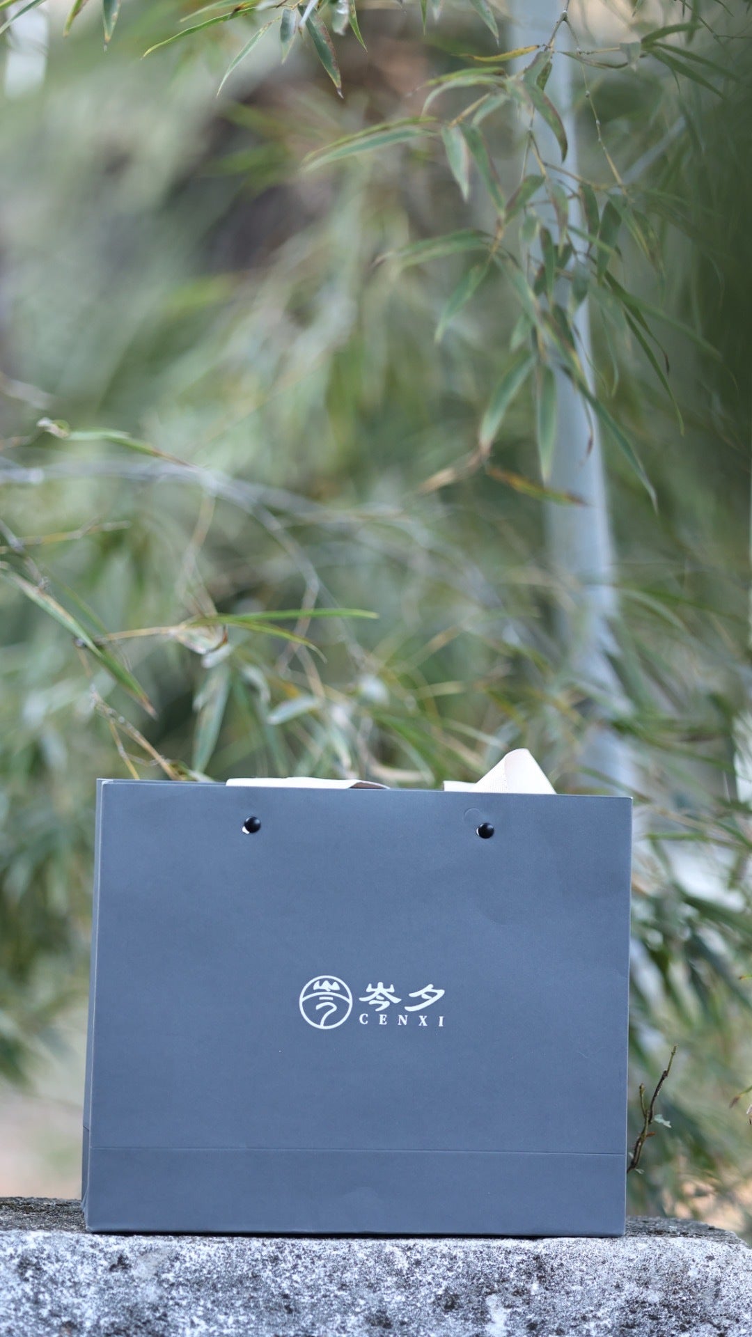 武夷山正岩肉桂