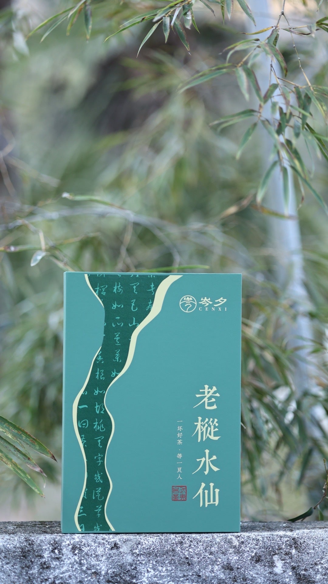 武夷山老枞水仙