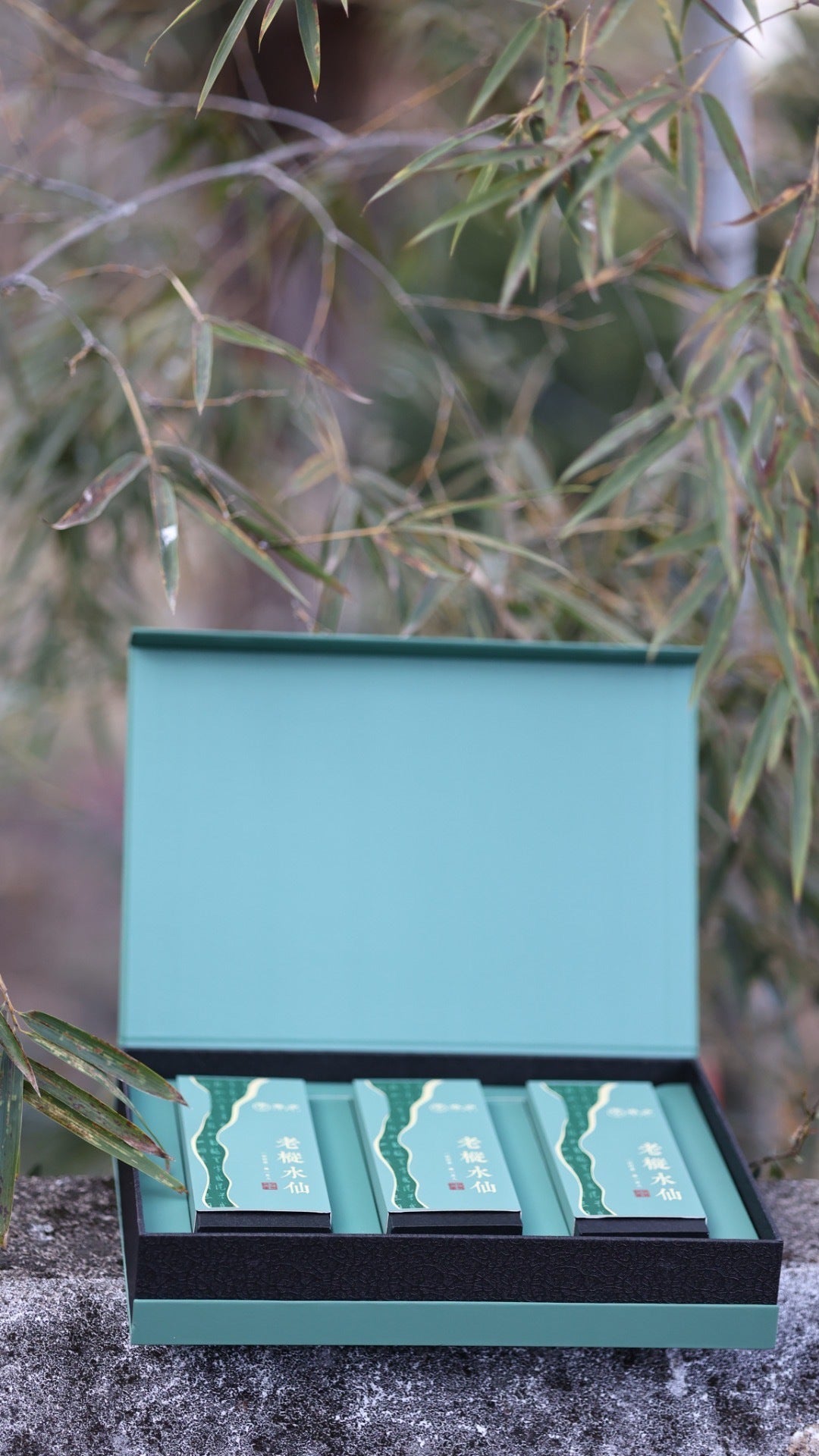 武夷山老枞水仙