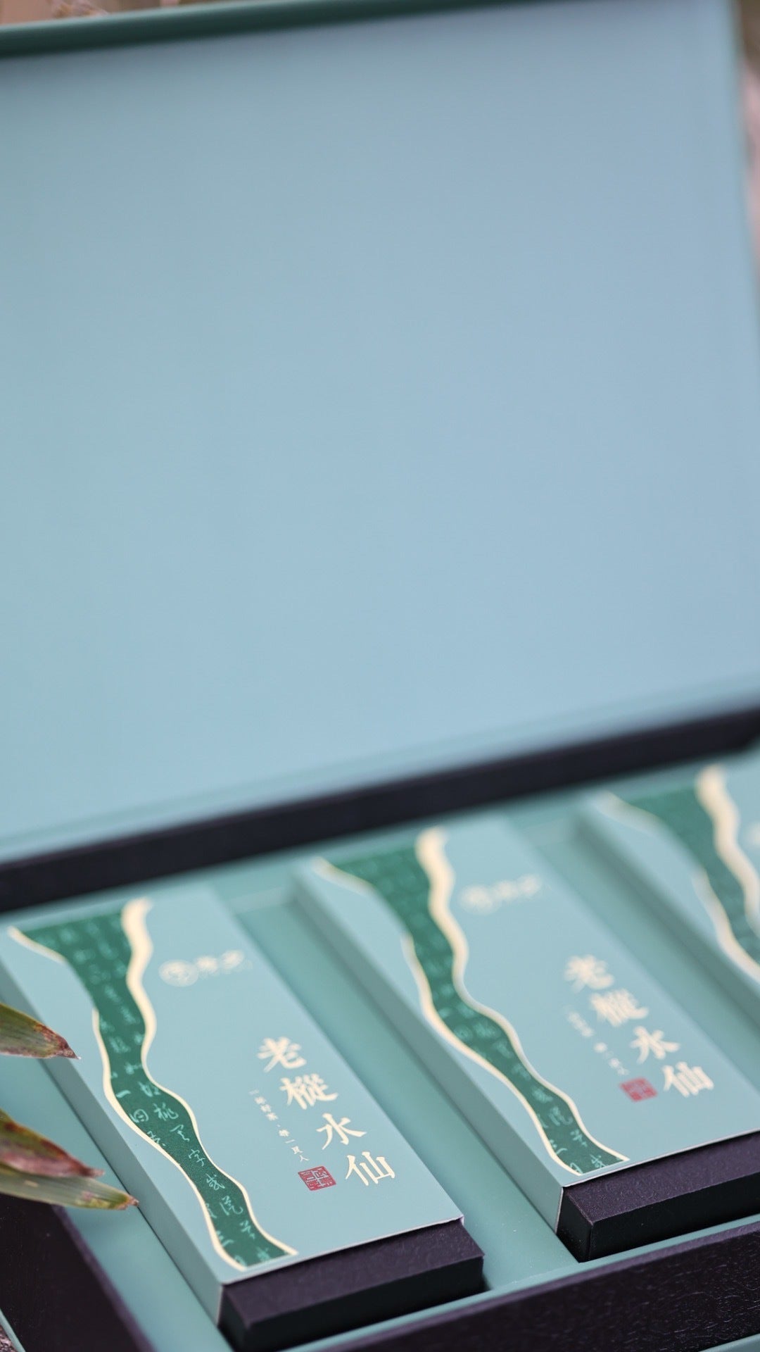 武夷山老枞水仙