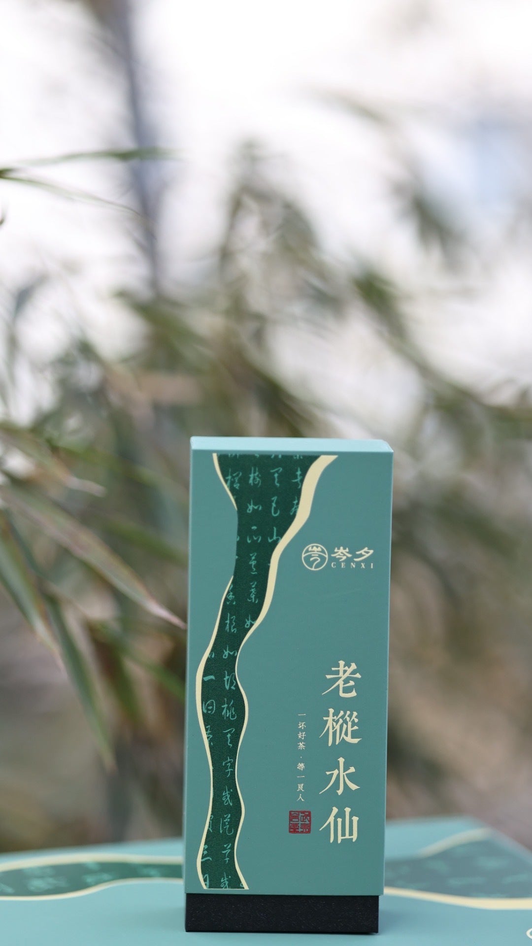 武夷山老枞水仙