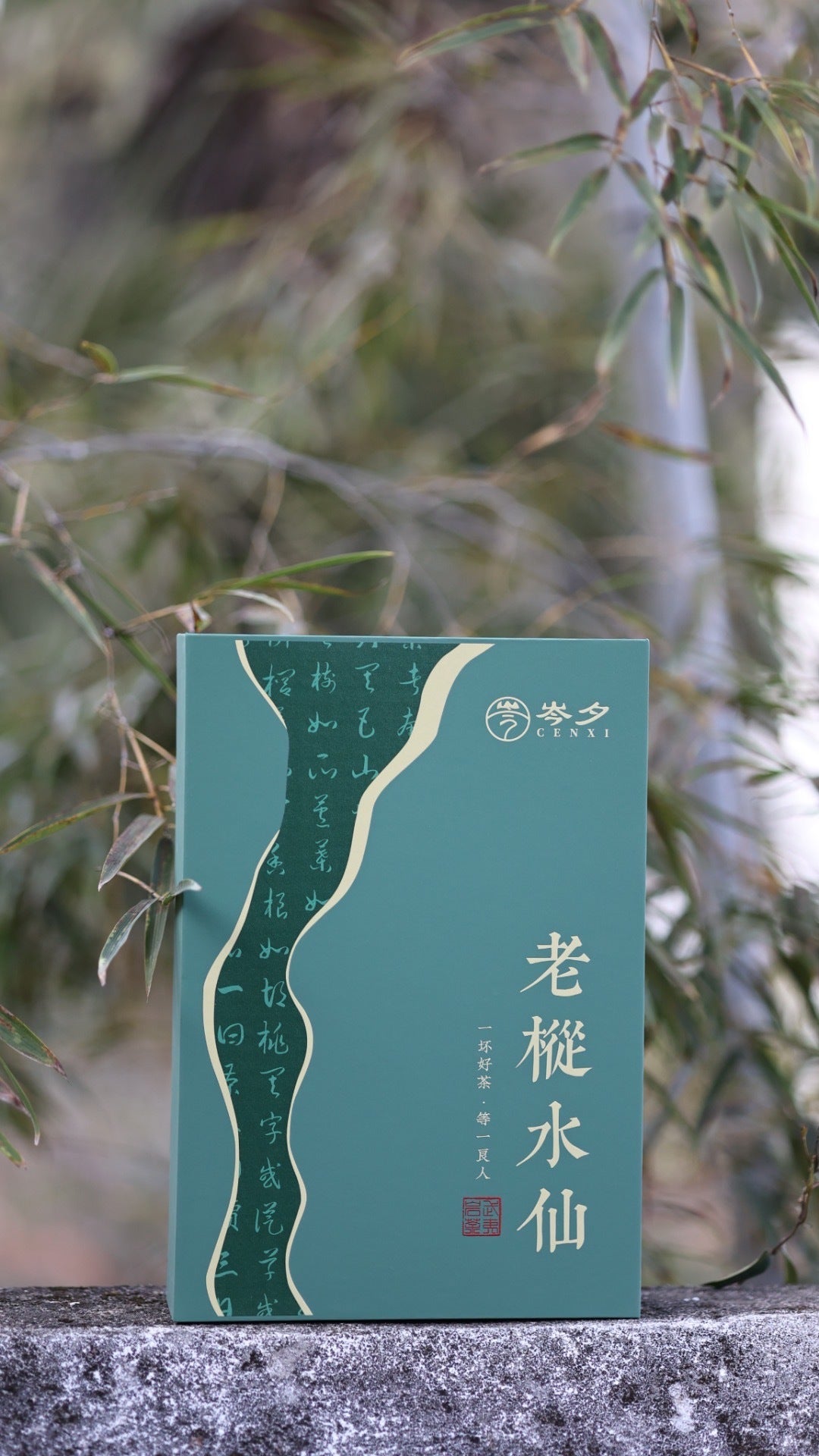 武夷山老枞水仙