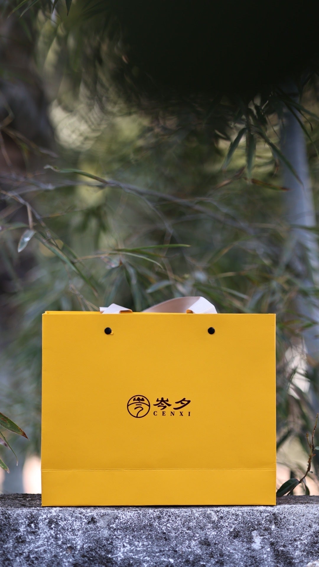 武夷山正岩大红袍