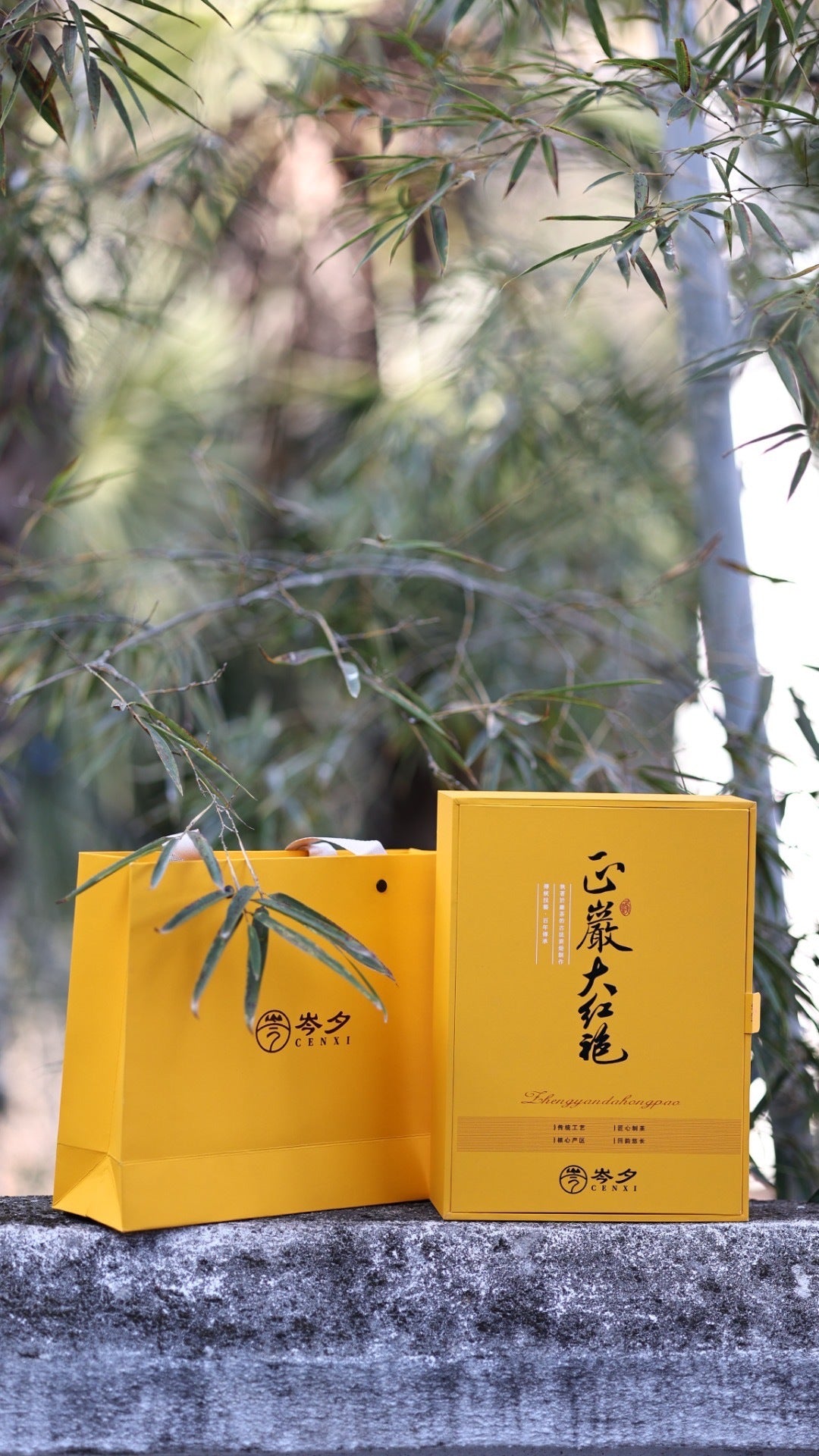 武夷山正岩大红袍